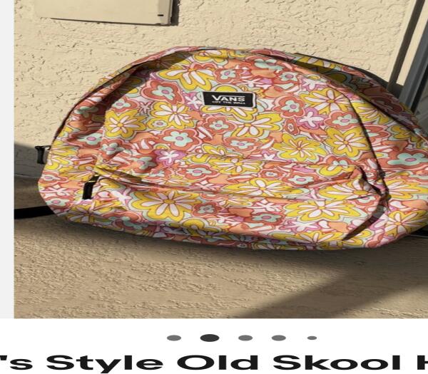 Lost Backpack Knapsack