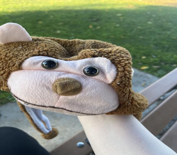Found Child size monkey hat