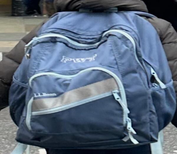 Lost Blue lL bean backpack with reflective strip
