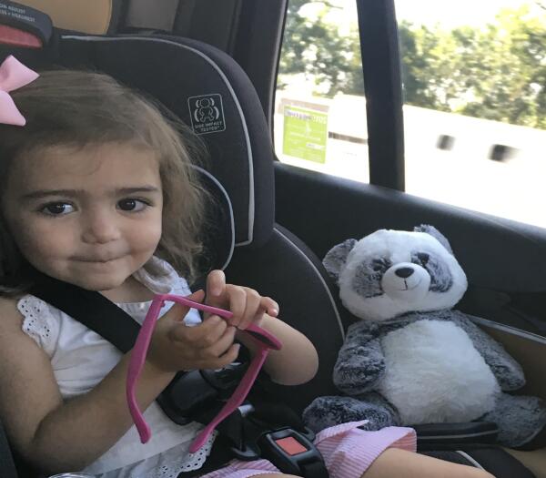 Lost Panda teddy bear