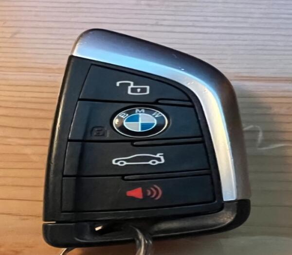 Lost BMW fob and key chain