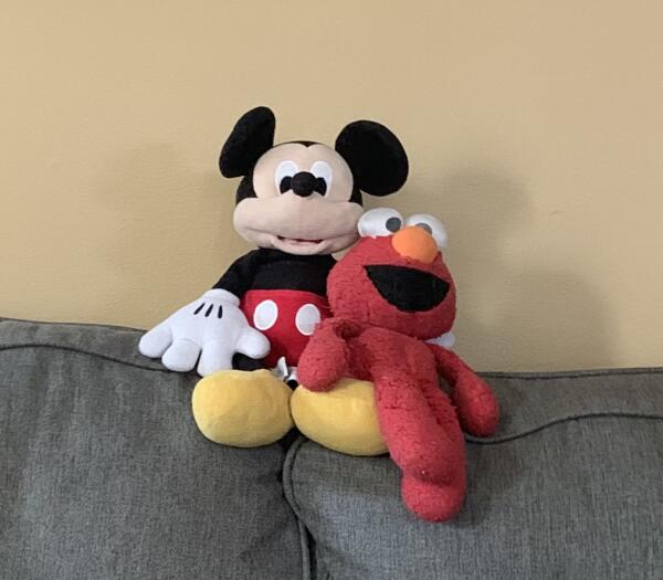 Lost Stuffed Animals
