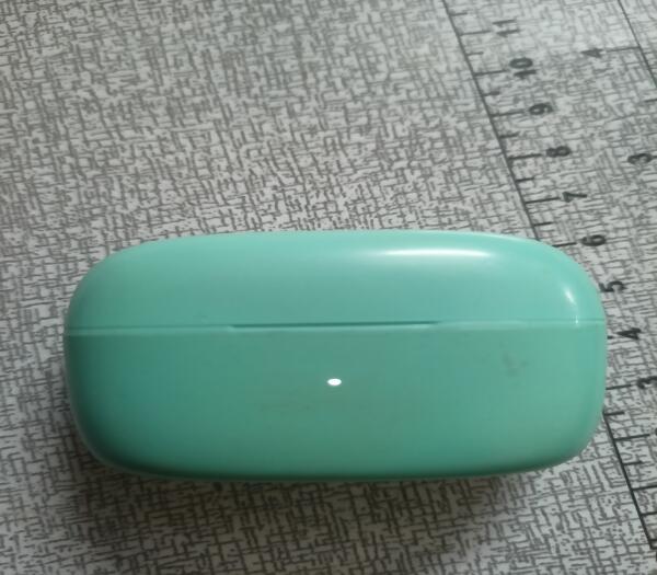 Found Earbuds